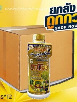 (กดสั่งครั้งละ 1 ลัง!ยกลัง*12ขวด) บีบีไรซ์ โกลด์ (เพิ่มผลผลิต) น้ำหนักดี สีสวย เมล็ดใส ขนาดบรรจุ 1 ลิตร