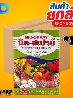 (กดสั่งซื้อครั้งละ 1 ลัง! ยกลัง*12) นิค-สเปรย์ 1 กิโลกรัม อาหารเสริมรวม Chelate-EDTA ธาตุอาหารรอง ธาตุอาหารเสริมชนิดรวม