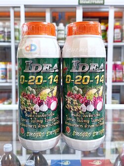 (ชุด2ขวด)ปุ๋ยน้ำ 0-20-14 ปุ๋ยน้ำฉีดทางใบ ขนาด 1 ลิตร ต้นตั้ง ใบเขียวเข้ม ใบหนา ใบใหญ่ ใบสมบูรณ์ สะสมอาหาร ต้านทานโรคพืช