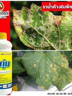 โบคุ่ม #ขนาด 1 ลิตร # อีทาบอกแซม (Ethaboxam)…10.4% W/V SC ป้องกันกำจัดโรคไฟท๊อปเทอร่า ราน้ำค้าง