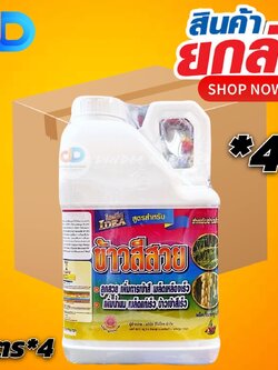 (ยกลัง4 แกลลอน)ไอเดีย ข้าวสีสวย ขนาด 5 ลิตร #ลูกสวย เพิ่มการเข้าสี เมล็ดเหลืองเร็ว เพิ่มน้ำนม เมล็ดแก่เร็วข้าวเข้าสีเร็ว
