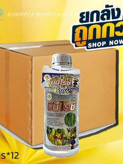 (กดสั่งครั้งละ 1 ลัง!ยกลัง*12ขวด) บีบีไรซ์ ซิลเวอร์ (แต่งตัว รับท้อง) รับท้อง ต้นพุ่ง กระทุ้งรวง ขนาดบรรจุ 1 ลิตร