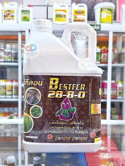 ปุ๋ยน้ำ 28-8-0 ขนาด 5 ลิตร แตกใบอ่อน เตรียมใบ แตกยอดอ่อน ตาข้าง