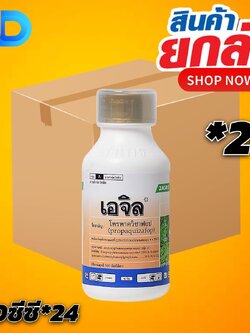 (ยกลังx24) เอจิล สาร โพรพาควิซาฟอบ 10% W/V EC ขนาด 250 ซีซี เพื่อกำจัดวัชพืชประเภทใบแคบ เช่น หญ้านกสีชมพู หญ้าตีนติด หญ้าตีนนก
