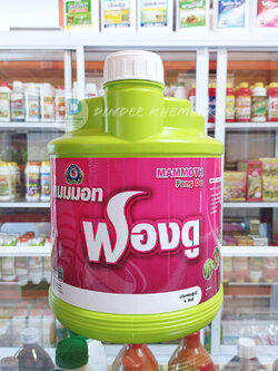 แมมมอท ฟองดู ขนาด 4 ลิตร เป็นสาหร่ายสีเขียวเข้มข้น + อะมิโน ใช้ในการสังเคราะห์ฮอร์โมนที่ใช้ในการเจริญเติบโต