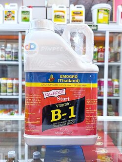 วิตามินบี-1 (VitaminB-1) #สารกระตุ้นรากพืช ขนาด 5ลิตร