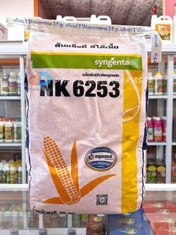 เมล็ดพันธุ์ข้าวโพด NK 6253 ยืนต้นดี ต้นแข็งดี สีได้เนื้อ ขนาด 10 กิโลกรัม