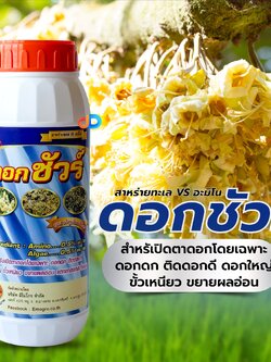 ดอกชัวร์ สาหร่ายทะเล$อะมิโน เบสฟอร์+ดอกชัวร์ ขนาด 1 ลิตร