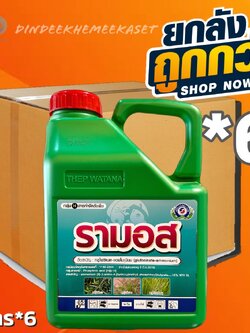 (ยกลัง6แกลลอน)รามอส (Ramos) ขนาด4ลิตร สารกลูโฟซิเนต-แอมโมเนียม ยากำจัดวัชพืชประเภทใบกว้าง ใบแคบ หญ้าปากควาย และกก