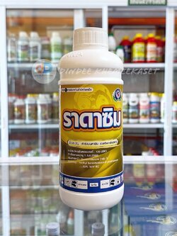 ราดาซิม (Radazim) คาร์เบนดาซิม (Carbendazim)..50% W/V SC สารป้องกันกำจัดเชื้อรา ขนาด1 ลิตร