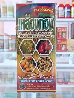 เหลืองทอง สารเร่งพืชชนิดเข้มข้น ขนาด500cc สูตรเร่งเหลือง ภายใน 3 วัน