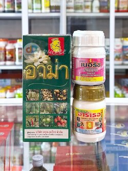 อาม่า500ซีซี+อาร์เทอ100ซีซี+เนอริช100ซีซี ธาตุอาหารรอง -ธาตุอาหารเสริมพืช การติดผล ขยายขนาดผล ช่วยในการสร้างโปรตีน