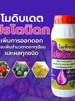 โปรโตนิก โมดิบเดต #เพิ่มให้พืชให้ออกดอกและลดการหลุดร่วงของผลอ่อน เพิ่มรสชาติความหวาน เนื้อแน่น ขนาด 1 ลิตร