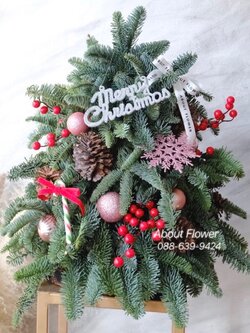 Christmas Tree ต้นคริสมาสต์ ทำจากต้นสนสด Holland มี 2 ขนาด พร้อมประดับตกแต่ง Ornament