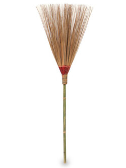 ไม้กวาดทางมะพร้าว