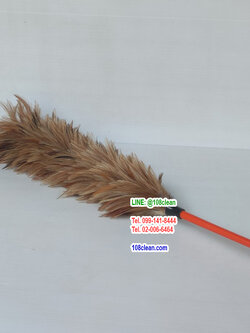 ไม้ขนไก่ ด้ามพลาสติก ด้าม 60 ซม.