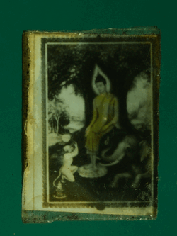 B2557 รูปถ่ายพระประจำวัน หลังในหลวง 9 รัชกาล 4