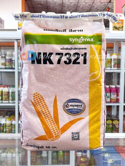 เมล็ดพันธุ์ข้าวโพดเลี้ยงสัตว์ NK7321 : 10 กก. (3.5หุน) ผลผลิตดี สีสวย