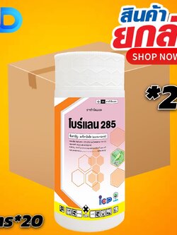 (ยกลัง 20 ขวด) โบร์แลน สาร อะซีทามิพริด 2.85% W/V EC ขนาด 1 ลิตร ป้องกันแมลงปากดูด เช่น เพลี้ยไฟ เพลี้ยกระโดดสีน้ำตาล เพลี้ยจั่กจั่น