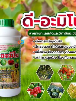 ดี-อะมิโน ขนาด 1 ลิตร สาหร่ายทะเล สกัดผสม และ วิตามินอะมิโน เร่งการเจริญเติบโต บำรุงดอก ลดการหลุดร่วง ขยายขนาดผล