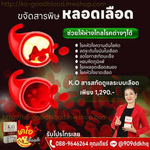 หลอดเลือดสะอาด ปราศจากโรคระบบเลือด