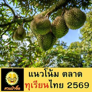 แนวโน้มตลาดทุเรียนไทยปี 2569 ยังไปต่อได้ไหม?