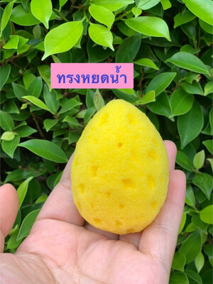 ฟองน้ำอนามัย ลูกเจี๊ยบ